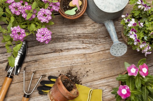 Professional gardening services in Hayes for tidy and healthy outdoor spaces