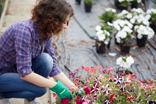 Gardeners Hayes introduction with local outdoor care focus