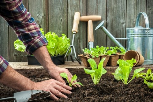 Garden clearance pricing overview for Hayes homes