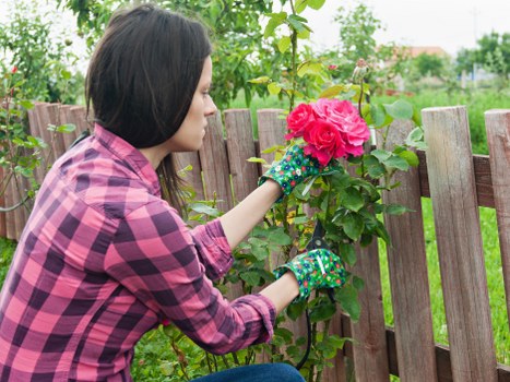 Professional garden clearance in Hayes removing branches and debris