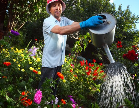 Image representing a professional review of gardening concerns