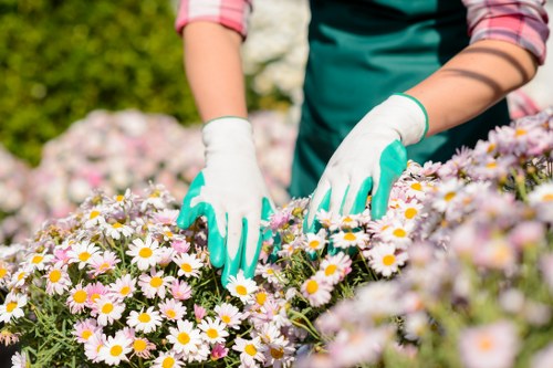 Garden tools and equipment prepared for safe use