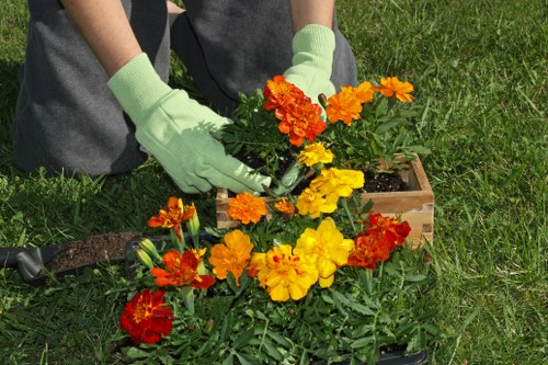 Seasonal lawn treatment and mowing in Hayes