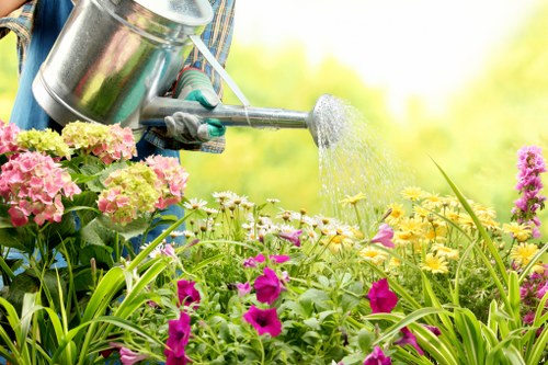 Winter garden maintenance in Hayes with neat pathways and plants