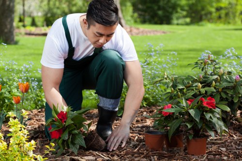 Seasonal garden maintenance with lawns and shrubs in Hayes