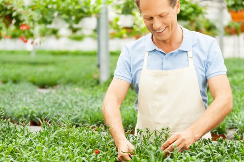 Front and back garden planning for landscape gardening in Hayes