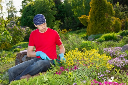 Garden waste collection and clearance service in Hayes