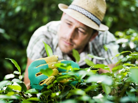 Professional gardeners using PPE during outdoor maintenance
