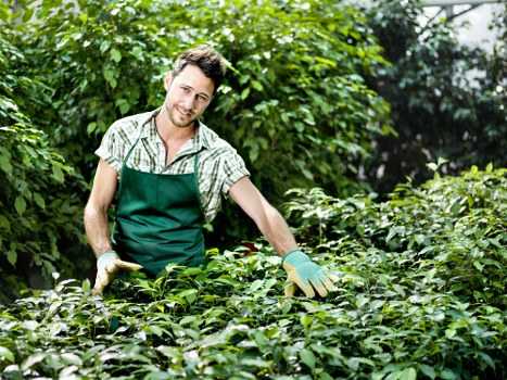 Transparent pricing for gardeners in Hayes
