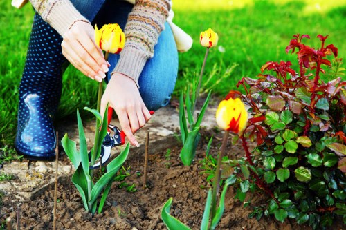 Hard landscaping features in a Hayes garden