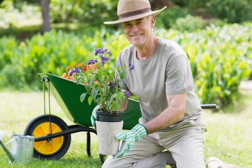 Healthy planting and tidy borders in a Hayes garden