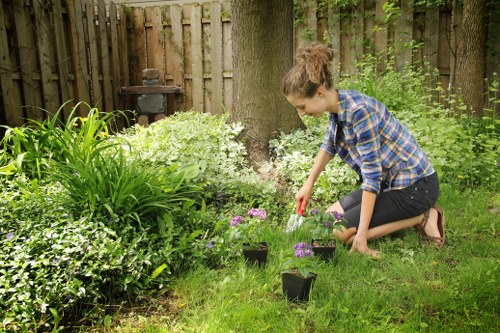 Image showing escalation within a gardening complaints process
