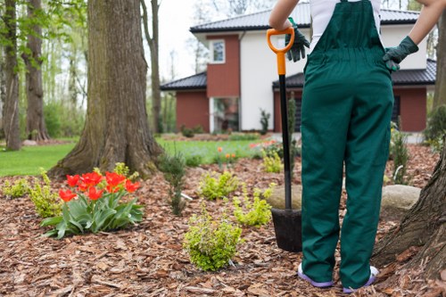 Professional grass cutting in a Hayes garden