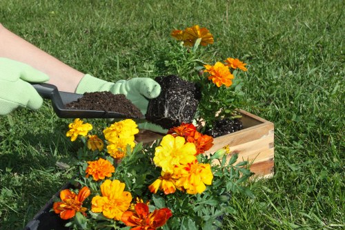 Free quote policy for garden services in Hayes