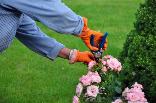 Example garden maintenance quote for a Hayes property