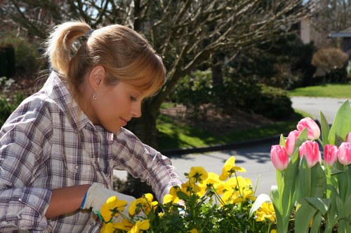 Professional lawn care service for a tidy Hayes garden