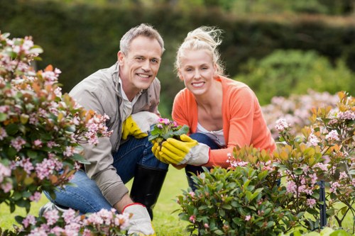 Seasonal hedge trimming in Hayes to keep garden boundaries controlled